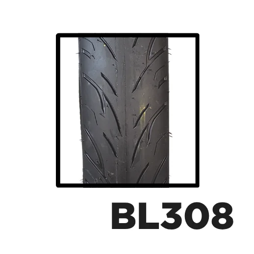 BL 308